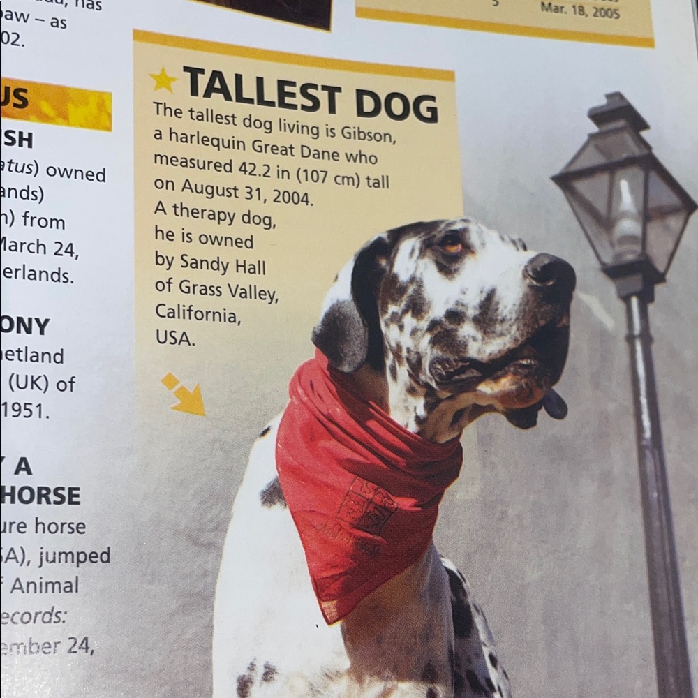 Guinness World Records 2007 Book Used - Picture 14 of 16
